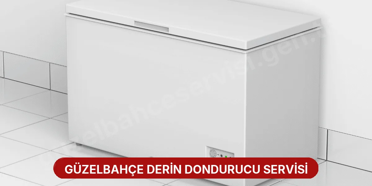 Güzelbahçe Derin Dondurucu Servisi