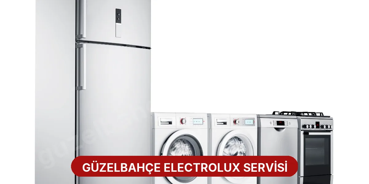 Güzelbahçe Electrolux Servisi