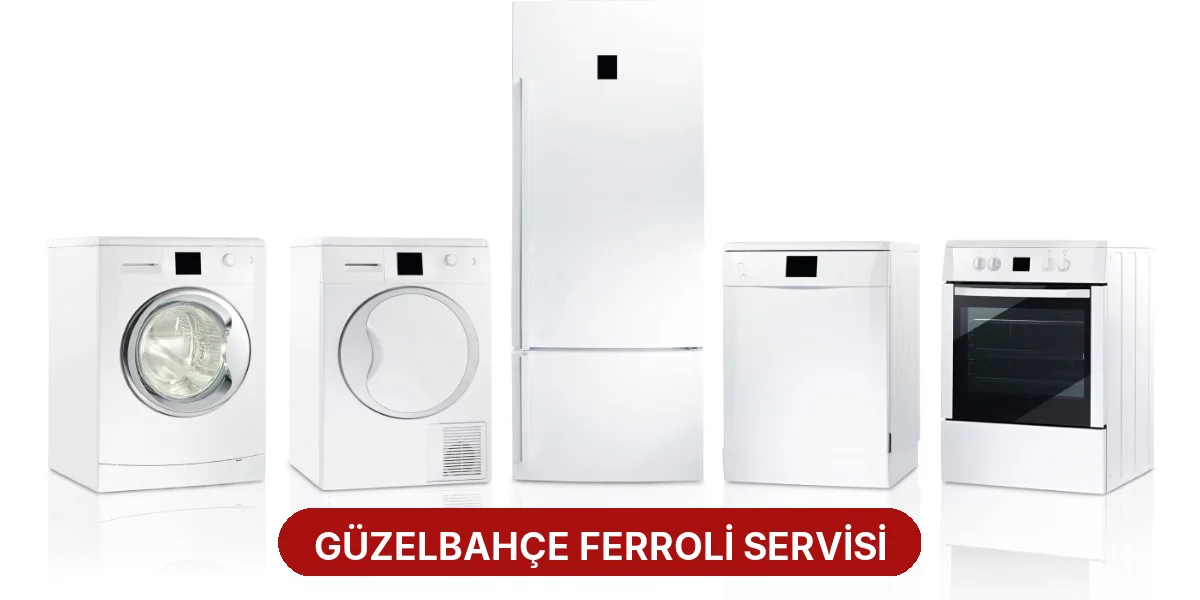 Güzelbahçe Ferroli Servisi
