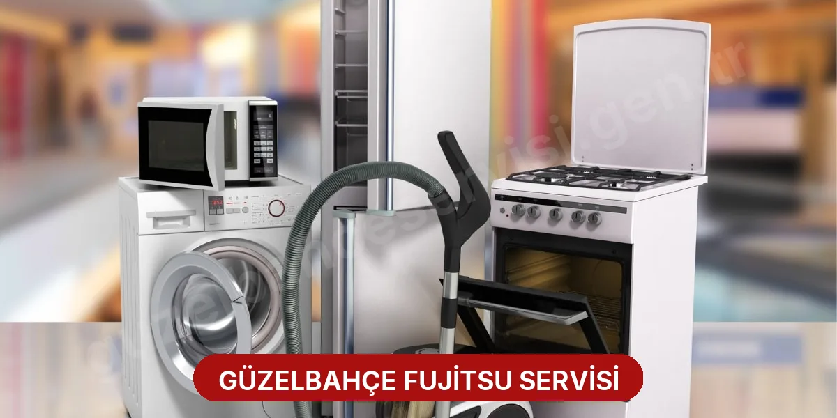 Güzelbahçe Fujitsu Servisi