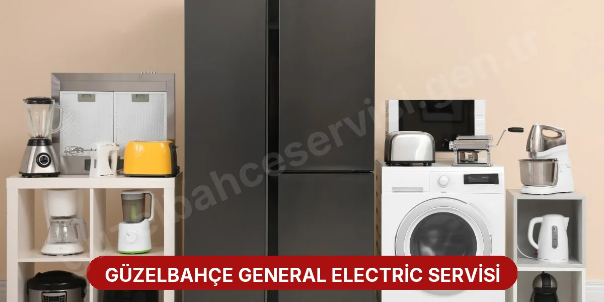 Güzelbahçe General Electric Servisi