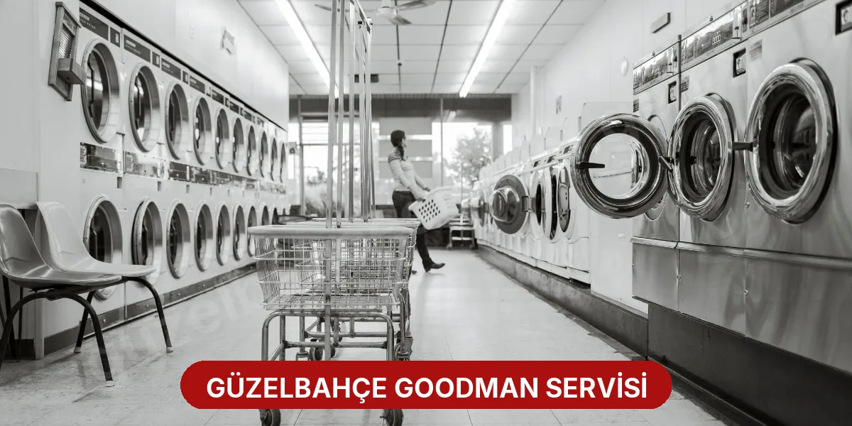 Güzelbahçe Goodman Servisi