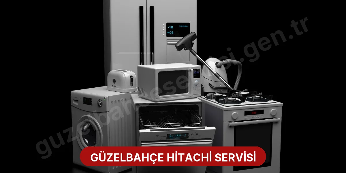Güzelbahçe Hitachi Servisi