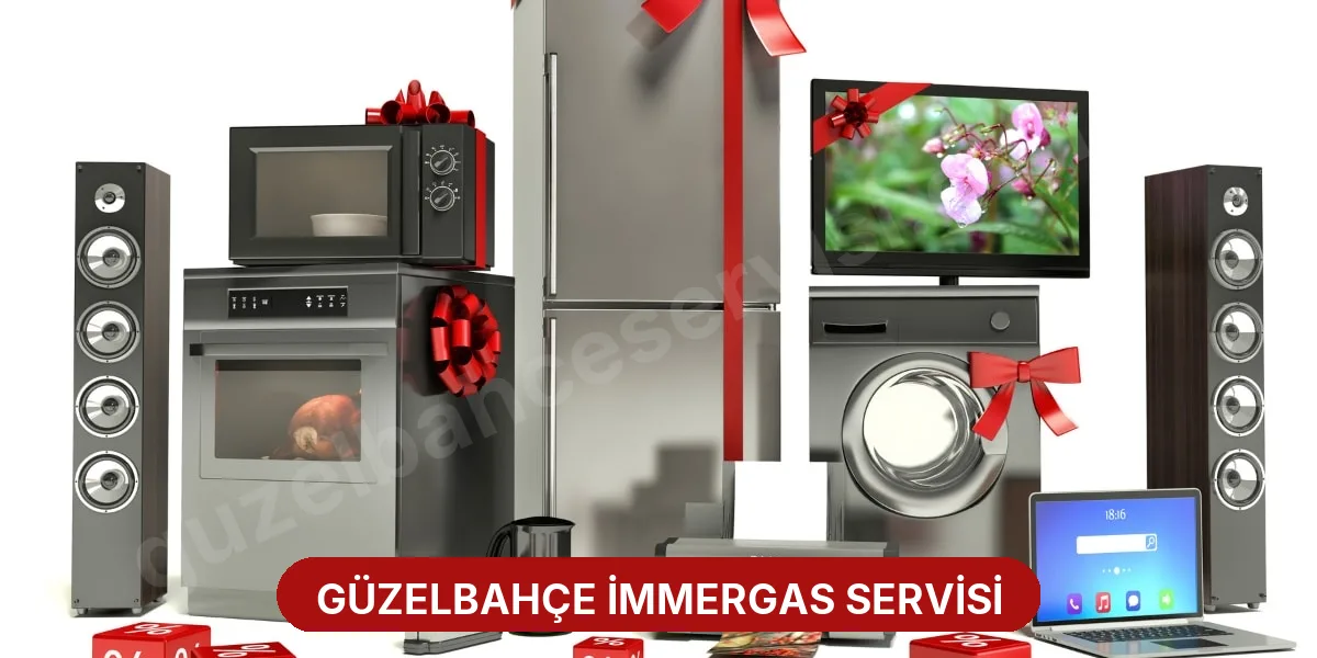Güzelbahçe İmmergas Servisi