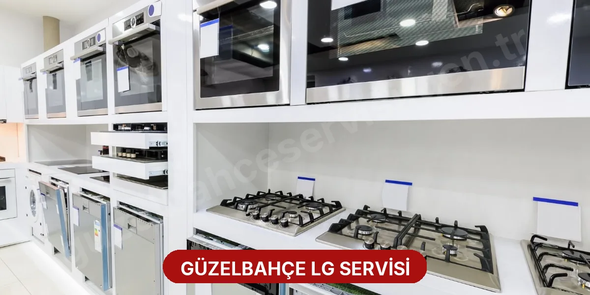 Güzelbahçe LG Servisi