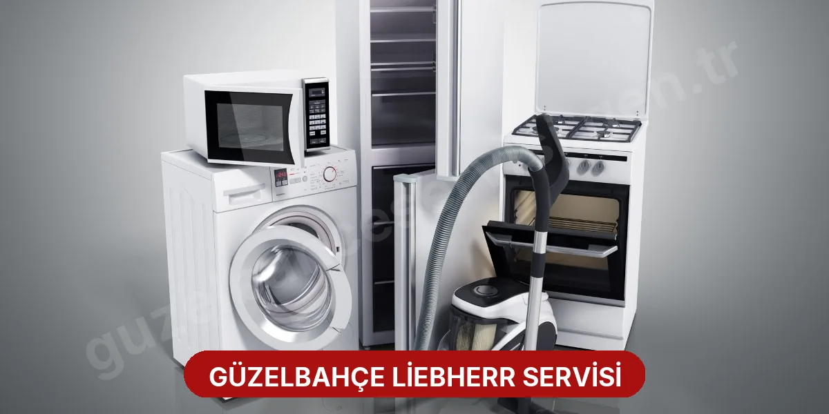 Güzelbahçe Liebherr Servisi