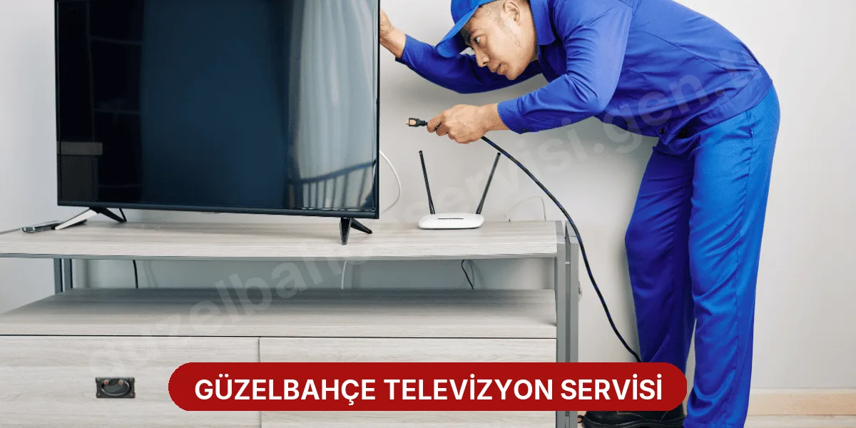 Güzelbahçe Televizyon Servisi