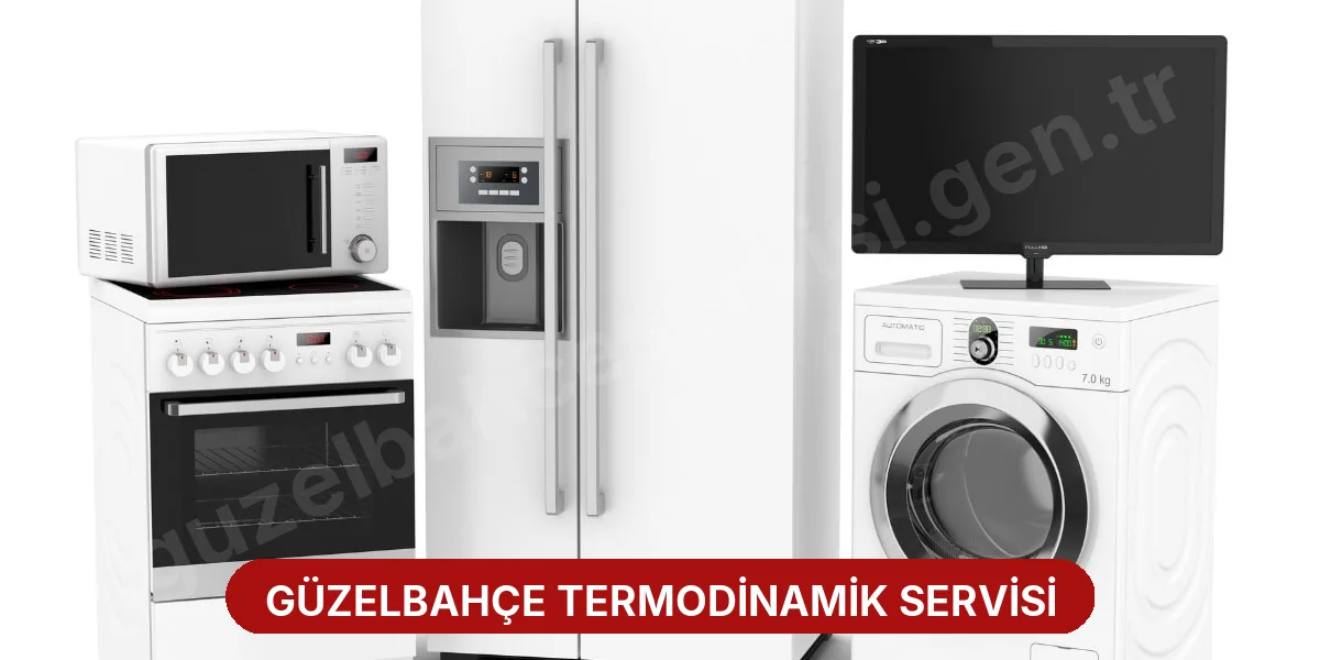 Güzelbahçe Termodinamik Servisi