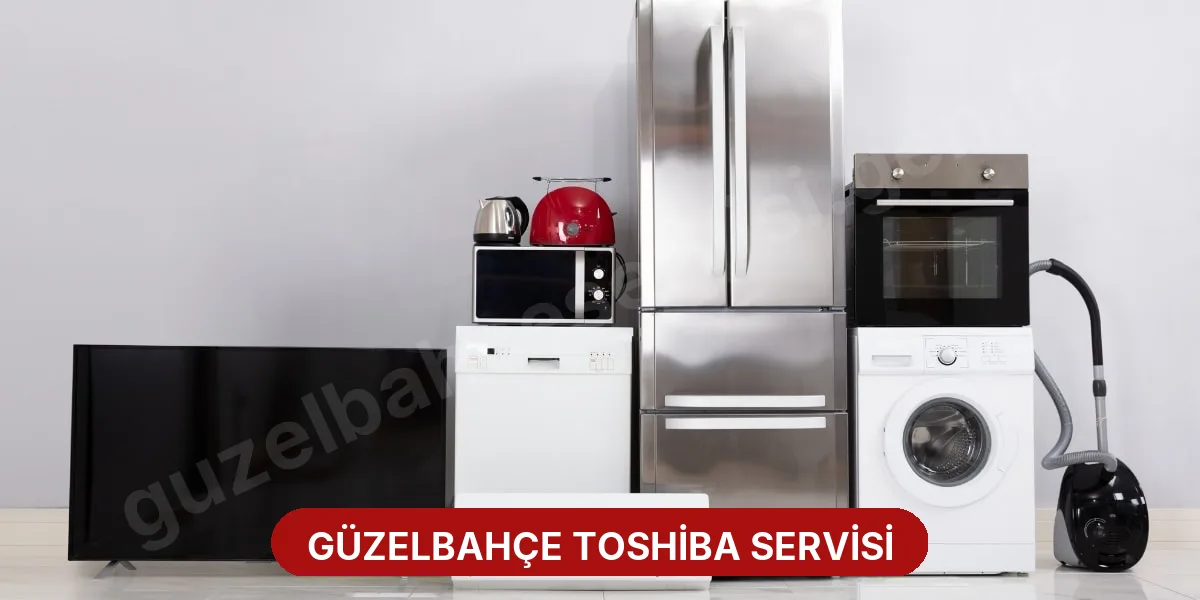 Güzelbahçe Toshiba Servisi