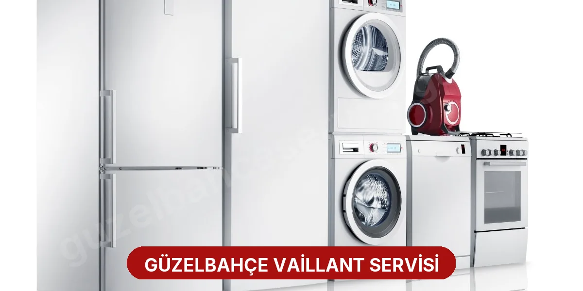 Güzelbahçe Vaillant Servisi