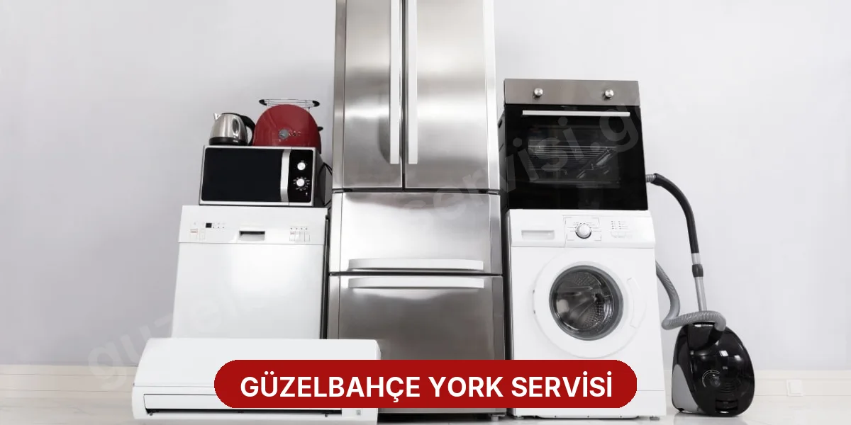 Güzelbahçe York Servisi